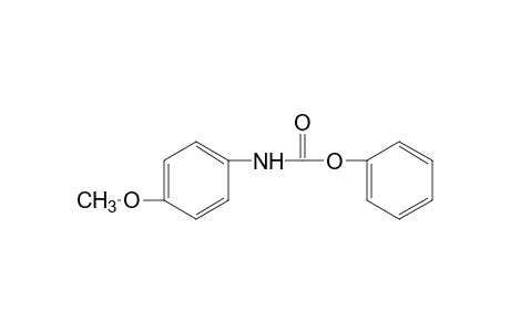 p-methoxycarbanilic acid, phenyl ester