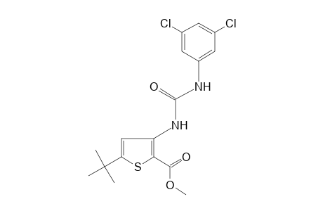 5-tert-butyl-3-[3-(3,5-dichlorophenyl)ureido]-2-thiophenecarboxylic acid, methyl ester