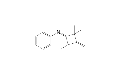 2,2,4,4-Tetramethyl-3-(phenylimino)-1-methylenecyclobutane