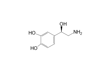 Norepinephrine