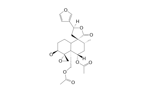 12-epi-montanin G