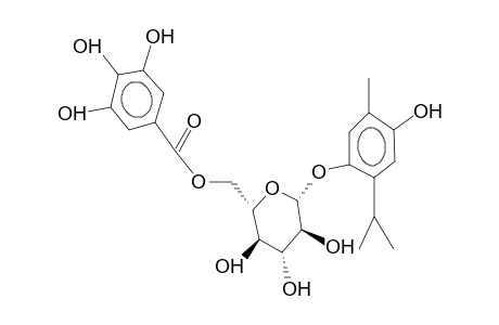 QUERGLANIN;2-ISO-PROPYL-4-HYDROXYL-5-METHYL-PHENOL-1-O-BETA-D-(6'-O-GALLOYL)-GLUCOPYRANOSIDE