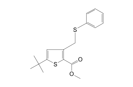 5-tert-butyl-3-[(phenylthio)methyl]-2-thiophenecarboxylic acid, methyl ester