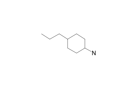 4-Propylcyclohexylamine