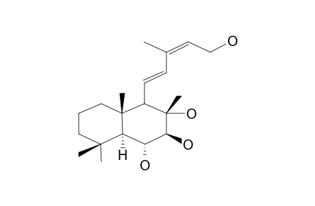 STEREBIN F