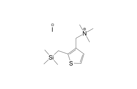 3-[(TRIMETHYLAMMONIO)-METHYL]-2-[(TRIMETHYLSILYL)-METHYL]-THIOPHENE-IODIDE