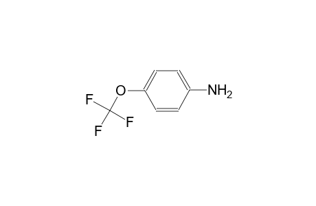 4-(Trifluoromethoxy)aniline