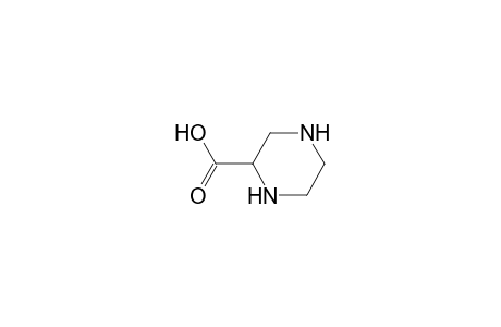 Piperazine-2-carboxylic acid