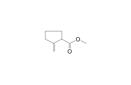 Cyclopentanecarboxylic acid, 2-methylene-, methyl ester