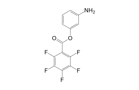 Pentafluorbenzoesaeure-(m-aminophenyl)-ester