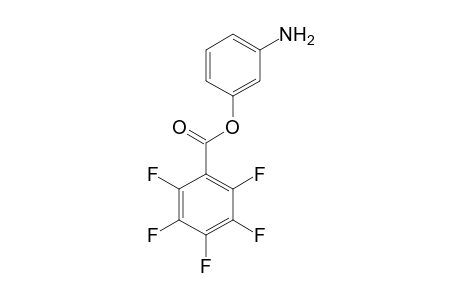 Pentafluorbenzoic acid-(m-aminophenyl)ester