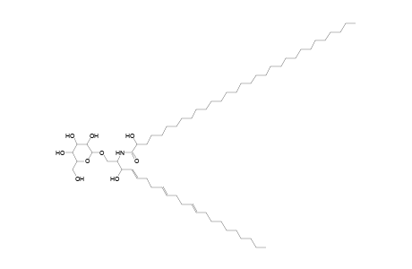HexCer 22:3;2O/31:0;O