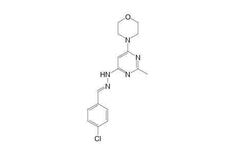 4-(3-Chlorobenzylidenehydrazino)-2-methyl-6-morpholinopyrimidine
