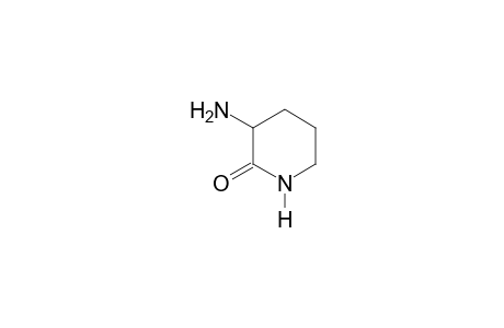 L-ORNITINE-DELTA-LACTAM