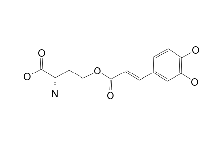 L-O-CAFFEOYL-HOMOSERINE