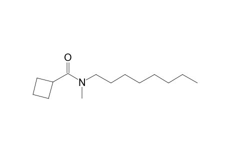 Cyclobutylcarboxamide, N-methyl-N-octyl-