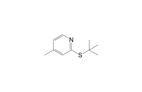 4-Picoline, 2-(tert-butylthio)-