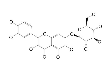 QUERCETAGENIN-7-O-BETA-D-GLUCOPYRANOSIDE