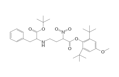 2,6-Ditert-butyl-4-methoxyphenyl 4-[(1-benzyl-2-tert-butoxy-2-oxoethyl)amino]-2-nitrobutanoate