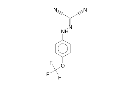 FCCP