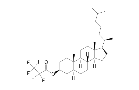 Cholestan-3-ol, pentafluoropropanoate, (3.beta.,5.alpha.)-
