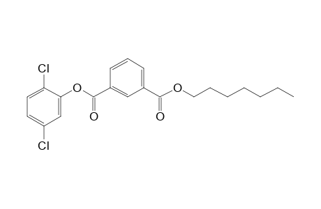 Isophthalic acid, 2,5-dichlorophenyl heptyl ester