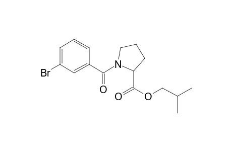 L-Proline, N-(3-bromobenzoyl)-, isobutyl ester