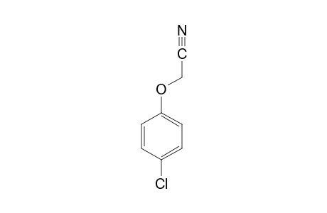 4-Chlorophenoxyacetonitrile