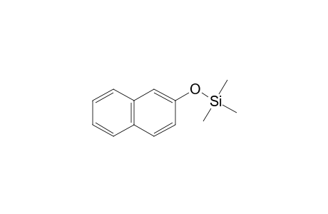 Silane, trimethyl(2-naphthalenyloxy)-