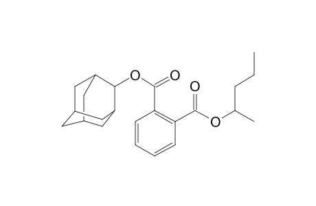 Phthalic acid, 2-adamantyl 2-pentyl ester