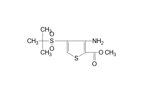 3-amino-4-(tert-butylsulfonyl)-2-thiophenecarboxylic acid, methyl ester