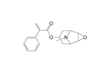 Scopolamine -H2O                     @