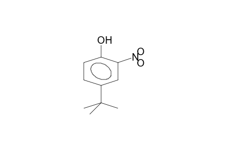 4-tert-Butyl-2-nitrophenol