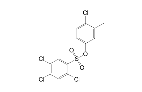 2,4,5-TRICHLOROBENZENESULFONIC ACID, 4-CHLORO-m-TOLYL ESTER