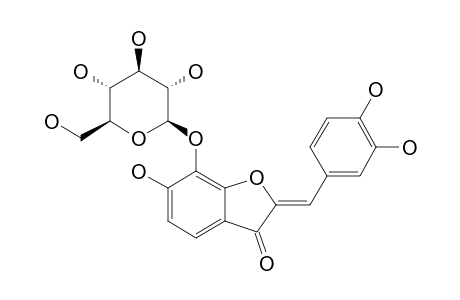 MARITIMETIN-7-O-BETA-D-GLUCOPYRANOSIDE;6,3',4'-TRIHYDROXY-AURONE-7-O-BETA-D-GLUCOPYRANOSIDE