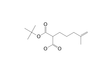 2-(4-Methylpent-4-enyl)malonic acid t-butyl ester