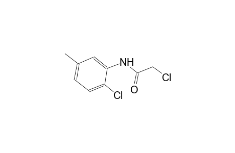 2,6'-dichloro-m-acetotoluidide