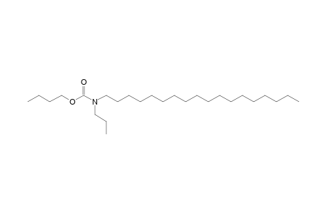 Carbonic acid, monoamide, N-propyl-N-octadecyl-, butyl ester