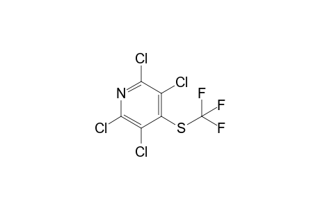 4-TRIFLUOROMETHYLTHIO-2,3,5,6-TETRACHLOROPYRIDINE