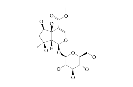 6B-HYDROXYIPOLAMIIDE