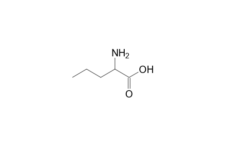 norvaline