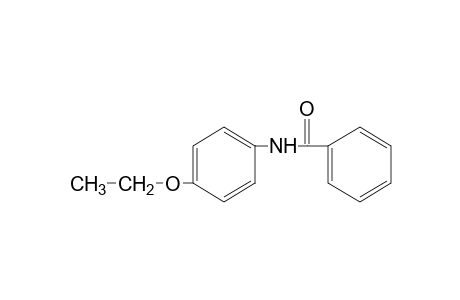p-benzophenetidide
