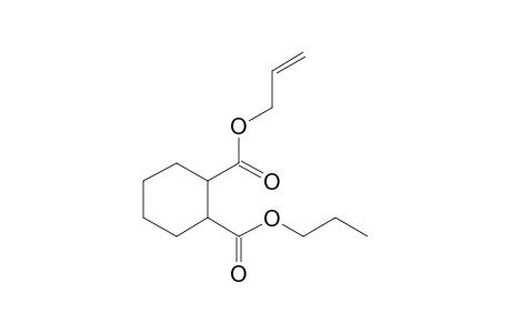 1,2-Cyclohexanedicarboxylic acid, allyl propyl ester