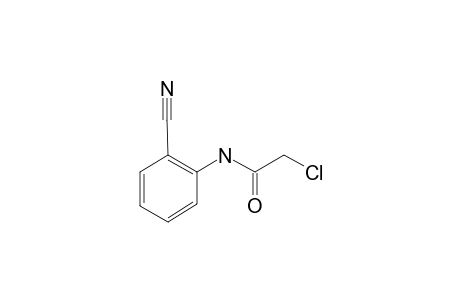 2-Chloro-N-(2-cyanophenyl)acetamide