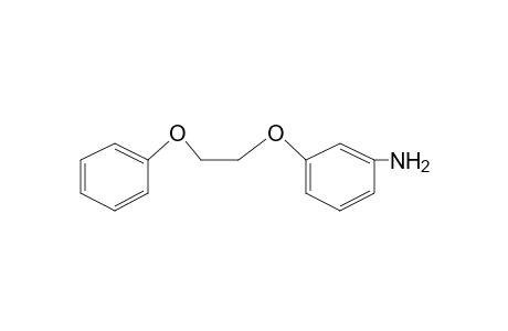 m-(2-phenoxyethoxy)aniline