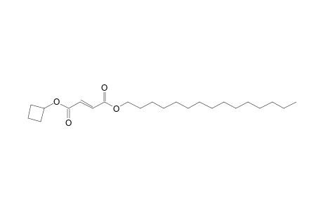 Fumaric acid, cyclobutyl pentadecyl ester