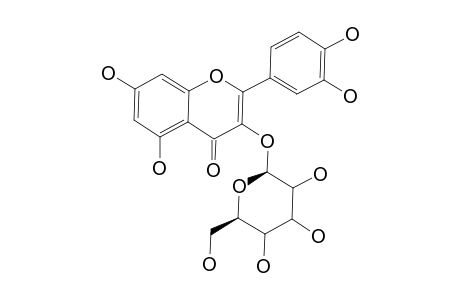 QUERCETIN-3-O-BETA-D-GALACTOSIDE