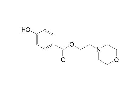 Benzoic acid, 4-hydroxy-, 2-(4-morpholinyl)ethyl ester