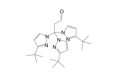 3,3,3-Tris(3-tert-butylpyrazol-1-yl)propanal