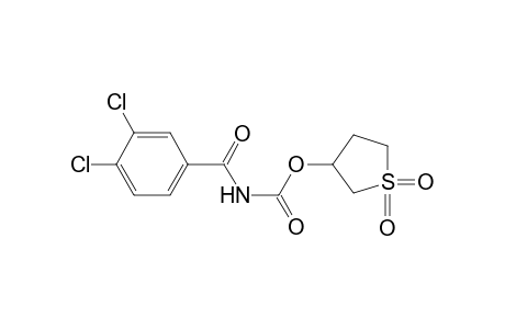 (3,4-Dichlorobenzoyl)carbamic acid, 1,1-dioxotetrahydro-1.lambda.(6)-thiophen-3-yl ester